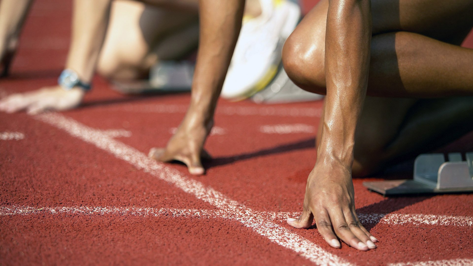 体育焦点新闻热度持续上升,体育实时热点